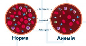 анемії показники